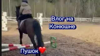 ВЛОГ НА КОНЮШНЕ ТРЕНИРОВКА!