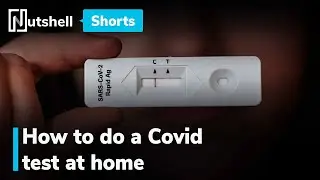 How to use a Covid rapid antigen test at home | 