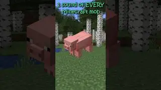 1 sound of EVERY Minecraft mob