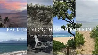 HAWAII PACKING VLOG!! pre-vacation prep | cleaning | appointments | packing |
