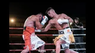 NEW BOXING SERIES III : Samuel Molina VS Viorel Simion - Boxeo profesional