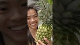 Tinder alternative: PINEAPPLE changing the DATING GAME? #shorts #dare #karmsfung