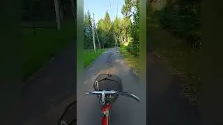 ДОБРОЕ УТРО! 02.07.24