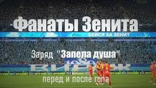 #ФанатыЗенита