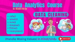 how to handle missing value in dataframe Hindi / Urdu | how to handle missing values in dataset