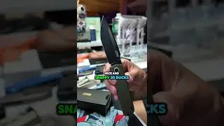 BUDGET SLEEPER! (THEY KEPT THIS FROM US!)