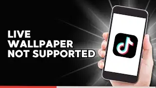 How To Fix Live Wallpaper Not Supported On TikTok