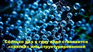 Сколько раз в году вода становится святой или структурированной