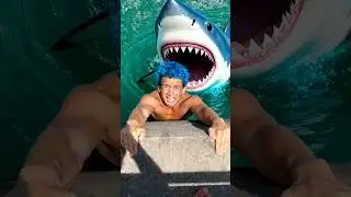I'm Never Going to the Beach Again