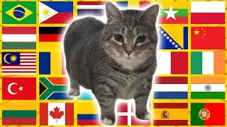 OIIAOIIA Cat in 70 Languages Meme