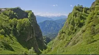 ЧЕННЕЛИНГ. Святой Шарбель.  Первая лекция.