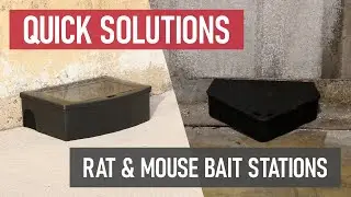 Quick Solutions: How to Use Rat & Mouse Bait Stations
