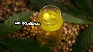 Is Harrelson’s Own CBD Oil Worth It? A Critical Review of Isolated CBD vs. Full-Spectrum