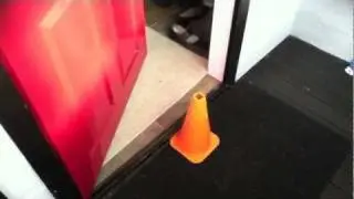 The Adventures of Coney! Episode 4 - Coney finds love...