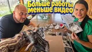 История семьи в сердцах и фотографиях. Экосистема пруда перезагружена. Операция прошла успешно.