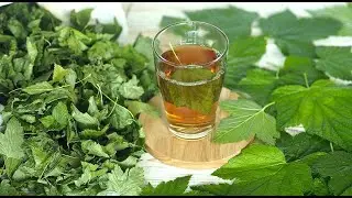 ЧАЙ ЗІ СМОРОДИНОВОГО ЛИСТА