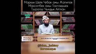 Маркум Шейх Чубак ажы Токтомушов Туралу чындык айткан