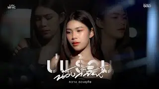 บ่พร้อมน้องก็สิฟัง - กวาง ดวงฤทัย【COVER VERSION】l Original : จา สิงห์ชัย