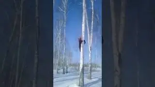 Вот так встреча.