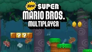 Playing NSMB Mario vs Luigi ON PC WITH 10 PLAYERS