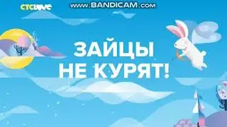 bandicam 2019 02 08 20 38 34 229