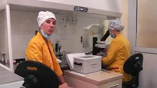 «Дети из пробирки»  Этап заморозки эмбрионов  Богданюк Анастасия Александровна, эмбриолог «Клиника М