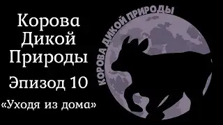 Корова Дикой Природы: Эпизод Десятый - Уходя из дома