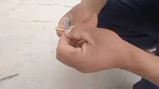 daraxt payvand qilish, Iskana Payvand,  dehqonchilik sirlari