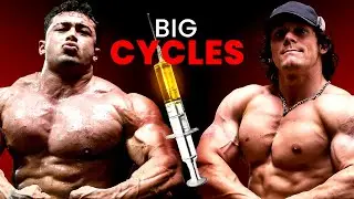 Who Is Pushing Harder? Me or Sam Sulek | QnA