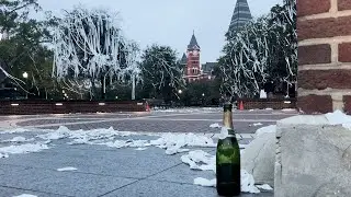 Auburn students react to news of Donald Trump becoming President-elect