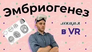 ЛУЧШАЯ ЛЕКЦИЯ ПО ЭМБРИОГЕНЕЗУ (В VR)