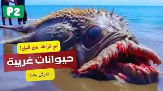 حيوانات غريبة تعيش معانا لم نراها من قبل!!.😳 P2 #حيوانات #animals