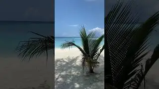 Me 5 minutes after being in Maldives #maldives #travel #travelvlog #traveling #beach #fyp #shorts