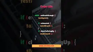 Coder Life 4 Coding Motivation #coding #motivation #shorts #python  #webdevelopment