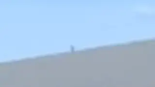 SOMETHING IS FOLLOWING US IN GOREBOX