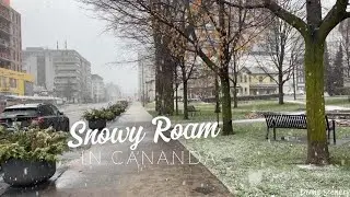 [4K] Snow Roam : Winter City Walks || Kitchener|| Canada