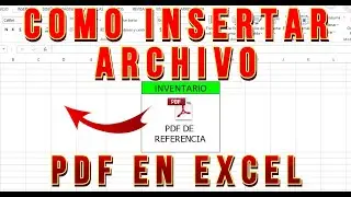 Como INSERTAR un ARCHIVO PDF en EXCEL