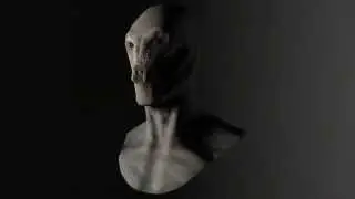 AmphibianRender