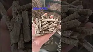 Biomass Fuel Pellet Mill Wood Sawdust Pelletizing Production Line #machine #BiomassPelletMachine