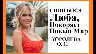 Свин Бося   Люба покоряет новый Мир