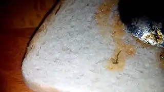 Вечером то ребят