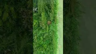 Декор стены ресепшена