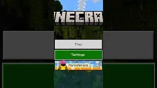 you can't play multiplayer in Minecraft
