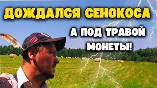СКОСИЛИ ПОЛЯ И ПОШЛИ МОНЕТЫ СЕРЕБРОМ! Коп с XP ORX