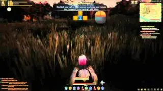 Wheelbarrow Glitch? - Black Desert Online -