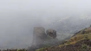 Fog at Doi Inthanon