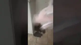:^?