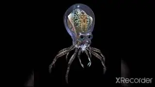 все звуки левиафанов из subnautica