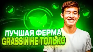 Лучшая ФЕРМА Grass | Как Создать Ферму Из DePin Расширений | Ферма Грасс
