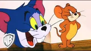 Tom and jerry توم وجيري اقوي مغامرات في الفندق